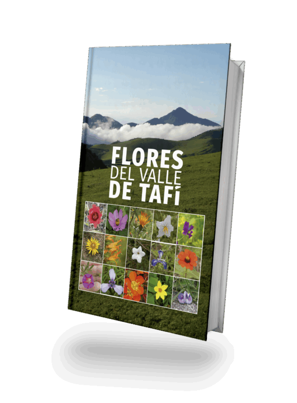 Flores del Valle de Tafí