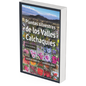 Plantas silvestres de los Valles Calchaquíes