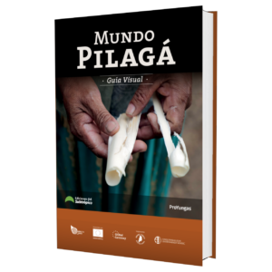 Guía Visual Mundo Pilagá